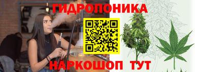 хмурый Малгобек