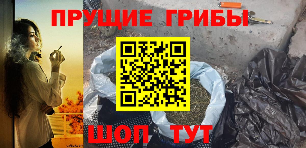 Октябрьский  Галлюциногенные грибы Psilocybe  Вход с VPN 