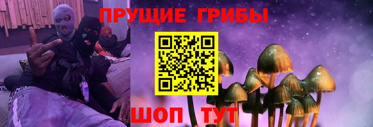 Галлюциногенные грибы Psilocybe Октябрьский
